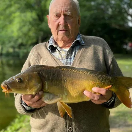 Renove De Charme Avec Parc, Etang, Proche De Paris Et Versailles - Fr-1-527-11 * Senlisse